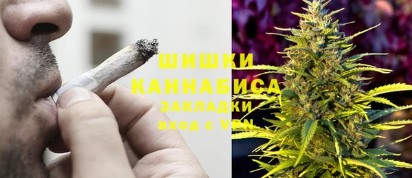 сатива Алзамай